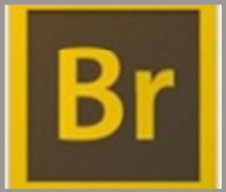 Adobe Bridge C.S.6 de A à Z